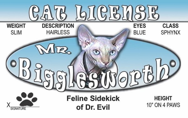 signs 4 fun Biggleswo ID