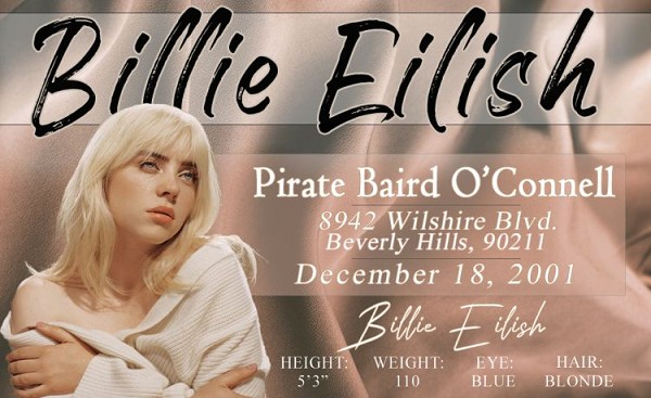 signs 4 fun BIllie Eilish Happier ID