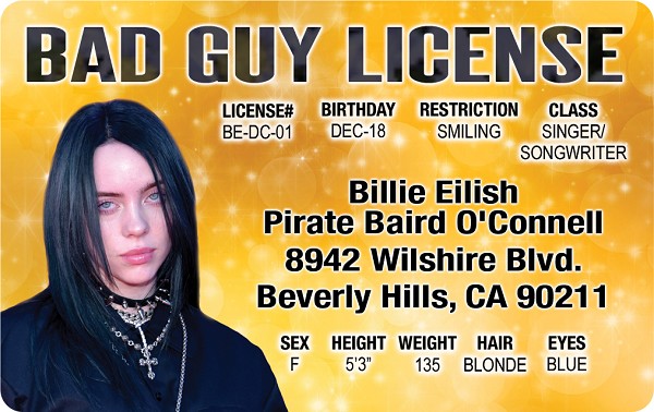 signs 4 fun Billie Eilish ID