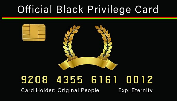signs 4 fun Black Privilege ID License