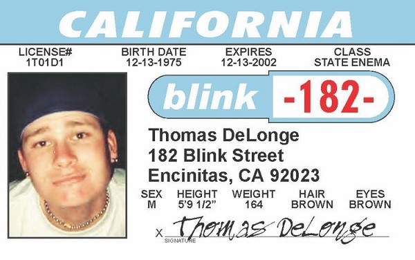 signs 4 fun Blink -Tom ID