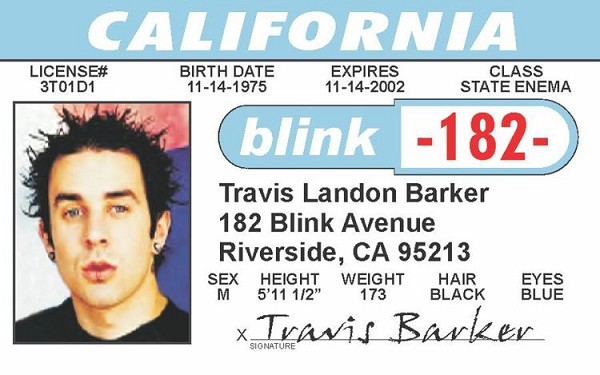 signs 4 fun Blink - Travis ID