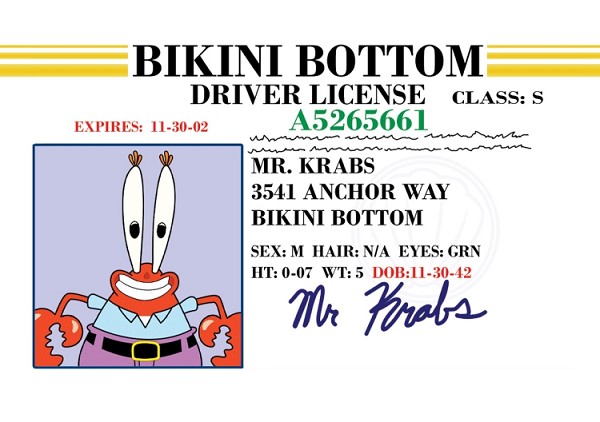 signs 4 fun Boating License Krabs License Magnet