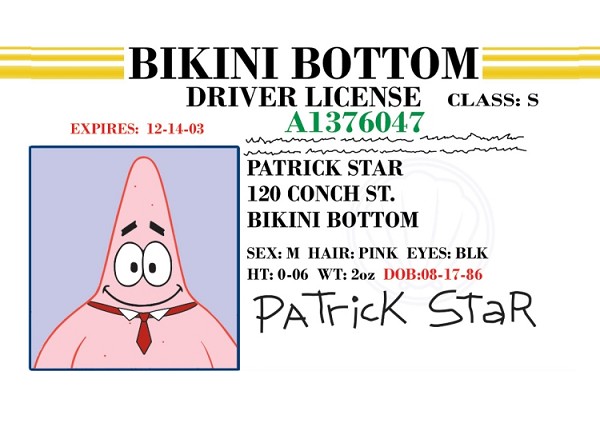 signs 4 fun Boating License Patrick License Magnet