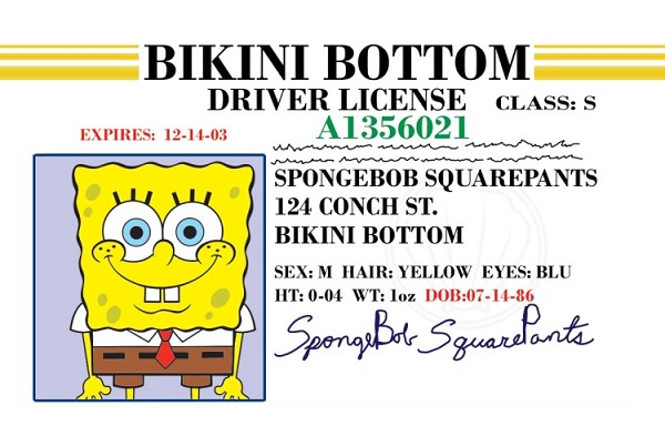 signs 4 fun Boating License SpongeB Magnet