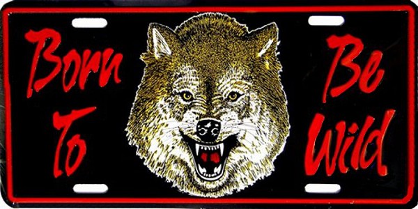 signs 4 fun Born To Be Wild License Plate