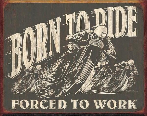 signs 4 fun Born to Ride Metal Tin Sign
