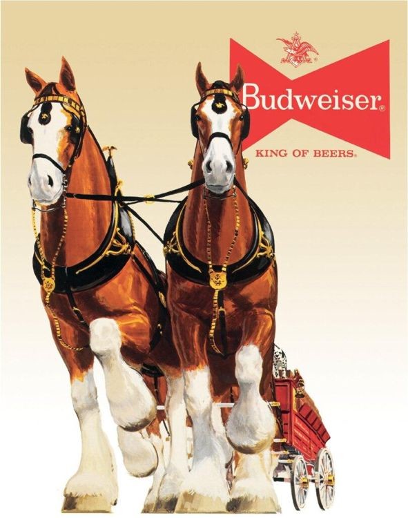 signs 4 fun Bud Clydesdale Team Metal Tin Sign