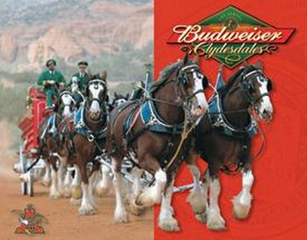 signs 4 fun Budweiser Clydesdales Metal Tin Sign