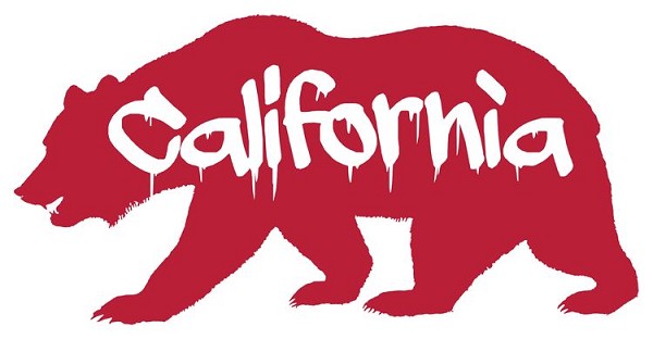 signs 4 fun CA Bear Large Sticker