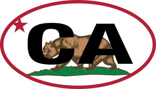 signs 4 fun CA Flag Sticker