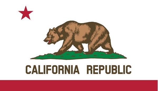 signs 4 fun CA State Flag Sticker