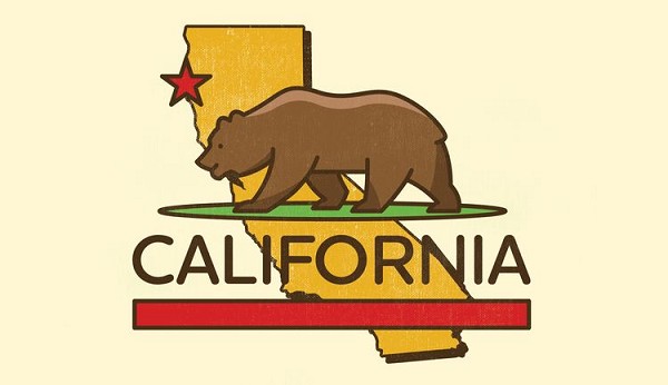 signs 4 fun CA State with Bear Sticker