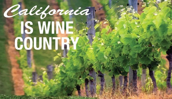 signs 4 fun CA Wine Country Sticker