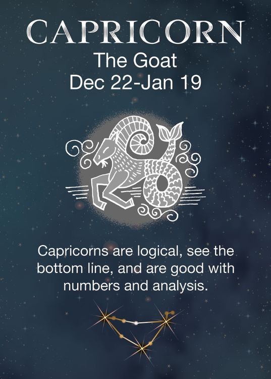 signs 4 fun Capricorn Zodiac Magnet