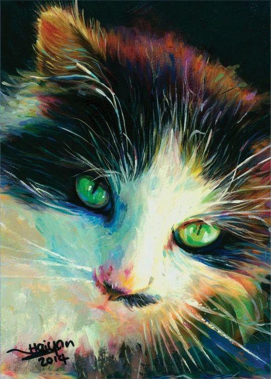 signs 4 fun Cat Face Magnet