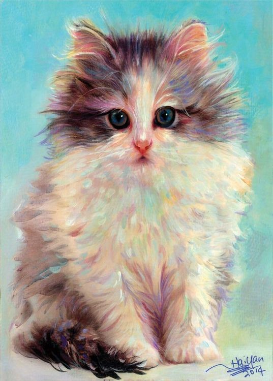 signs 4 fun Cat Magnet