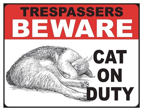 signs 4 fun Cat on Duty Metal Sign