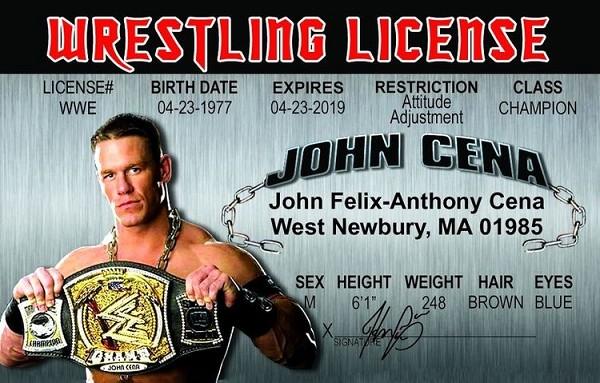 signs 4 fun Cena ID