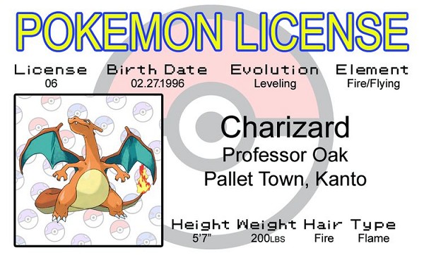 signs 4 fun Charizard ID