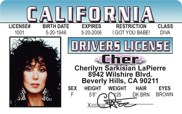 signs 4 fun Cher ID