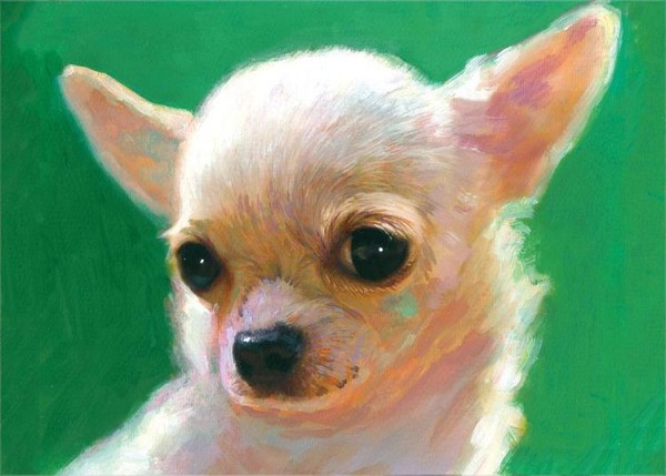 signs 4 fun Chihuahua Puppy Magnet