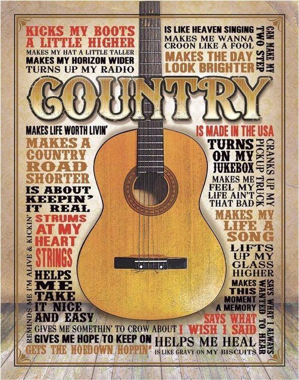 signs 4 fun Country - Made in America Metal Sign