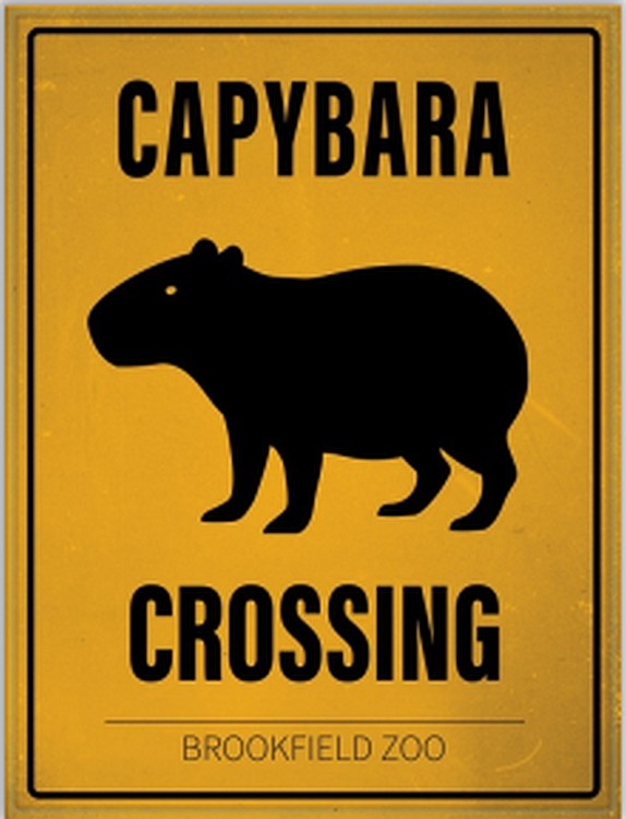 signs 4 fun Crossing Capybara Metal Sign