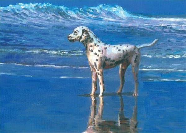 signs 4 fun Dalmation On Beach Magnet