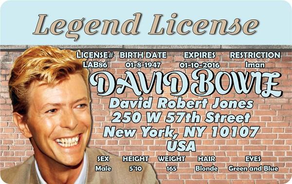 signs 4 fun David Bowie ID