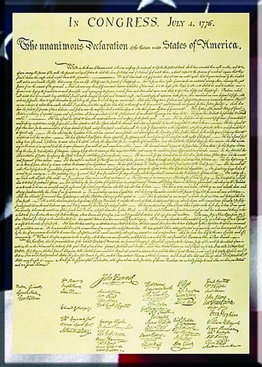 signs 4 fun Declaration of Independence Magnet