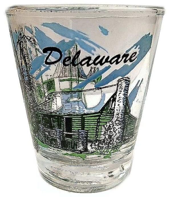 signs 4 fun Delaware Shot Glass
