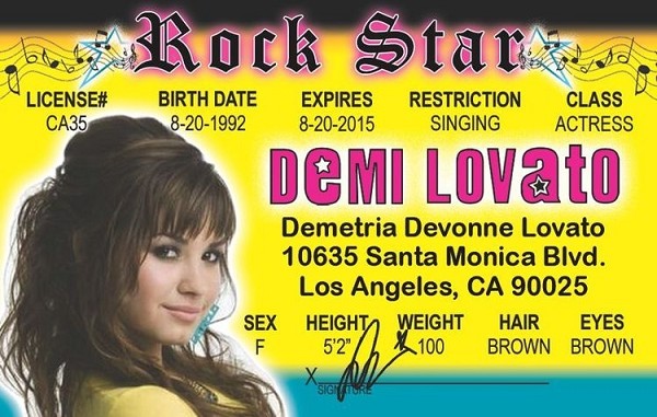 signs 4 fun Demi Lovato ID