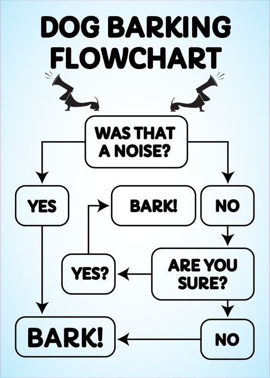 signs 4 fun Dog Barking Flowchart Magnet