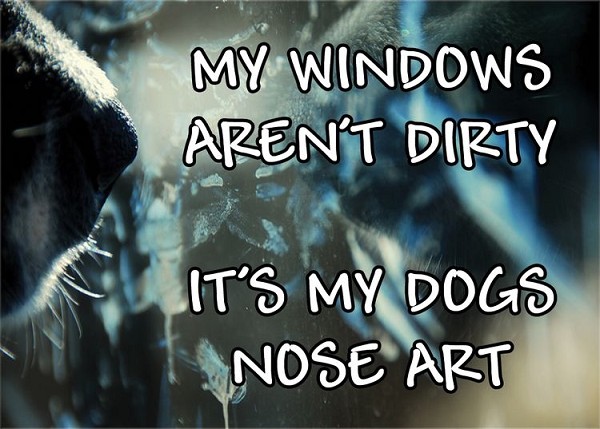 signs 4 fun Dog Nose Art Magnet
