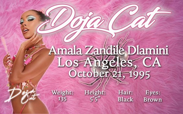 signs 4 fun Doja Cat ID