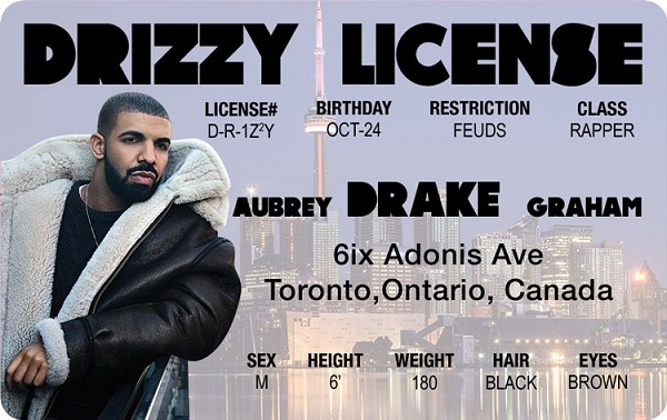 signs 4 fun Drake ID