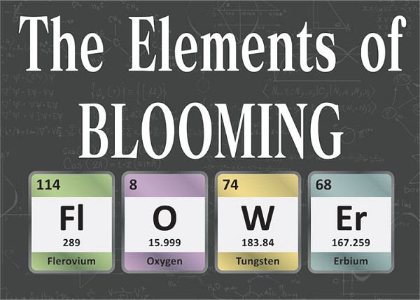 signs 4 fun Elements of BLOOMING