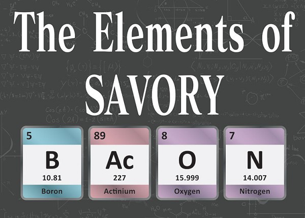 signs 4 fun Elements of SAVORY