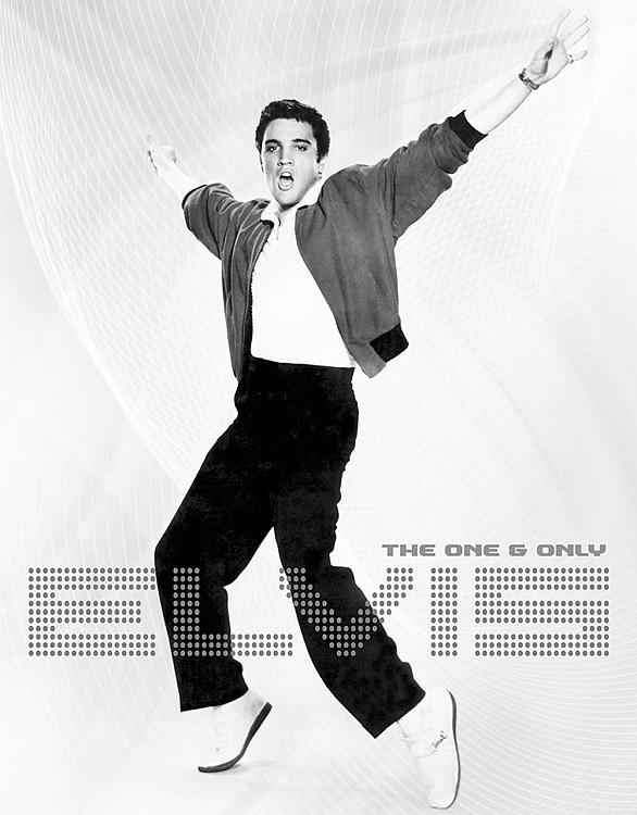 signs 4 fun Elvis - B&W Metal Sign