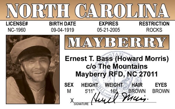 signs 4 fun Ernest ID Magnet