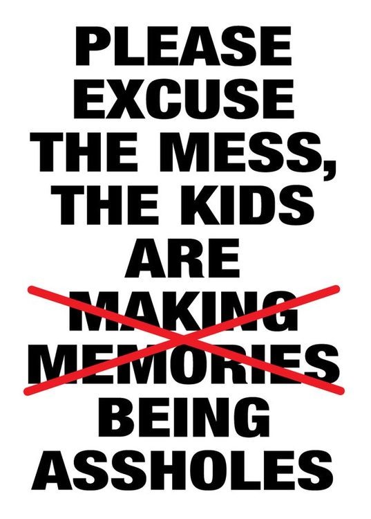 signs 4 fun Excuse the Mess Magnet