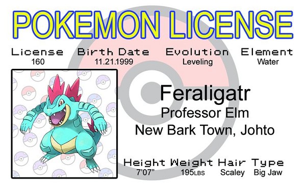 signs 4 fun Feraligatr ID
