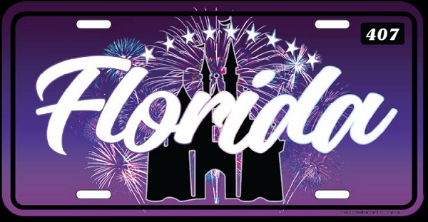 signs 4 fun FL- Florida Night License Plate