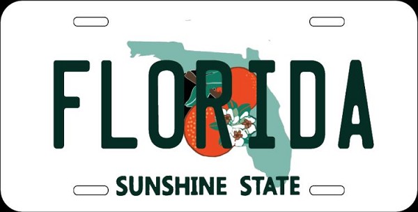 signs 4 fun FL- FLORIDA State License Plate