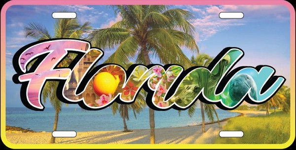 signs 4 fun FL- Florida Word Art License Plate