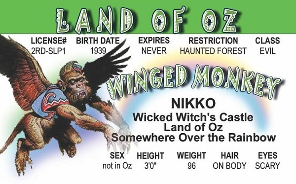 signs 4 fun Flying Monkey of Oz ID