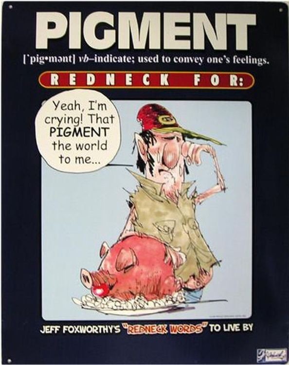 signs 4 fun Foxworthy Pigment Metal Sign