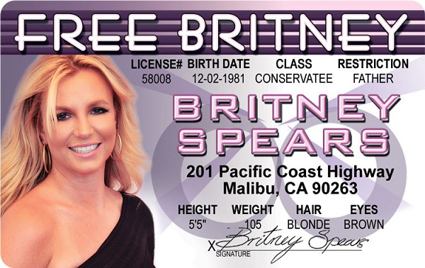 signs 4 fun Free Britney ID