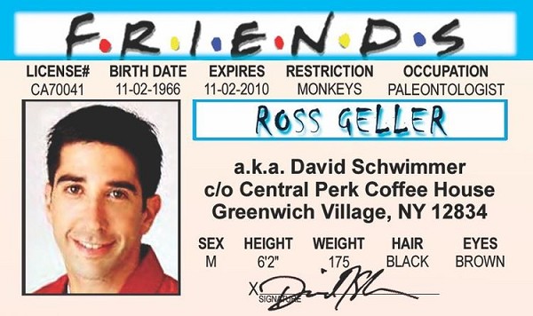 signs 4 fun Friends - Ross ID